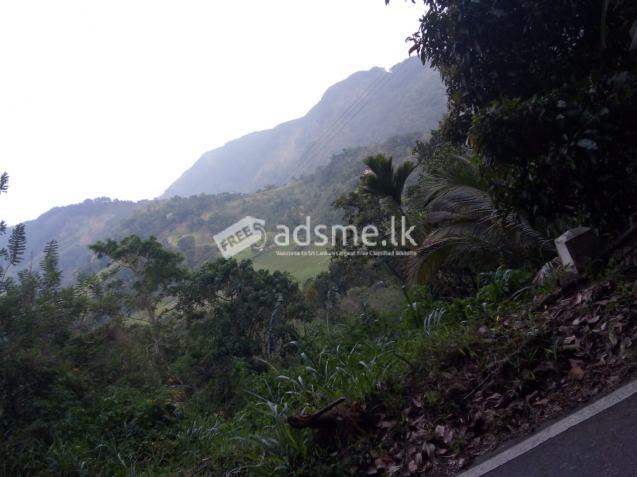 Good Investment Land for Sale in Kandy - Theldeniya , Heel oya