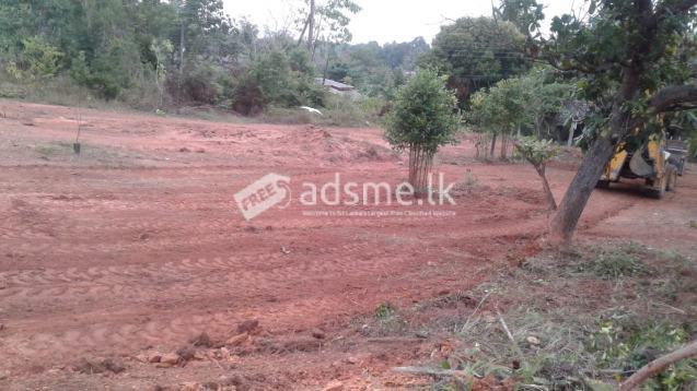 Lands for Sale in Kahathuduwa