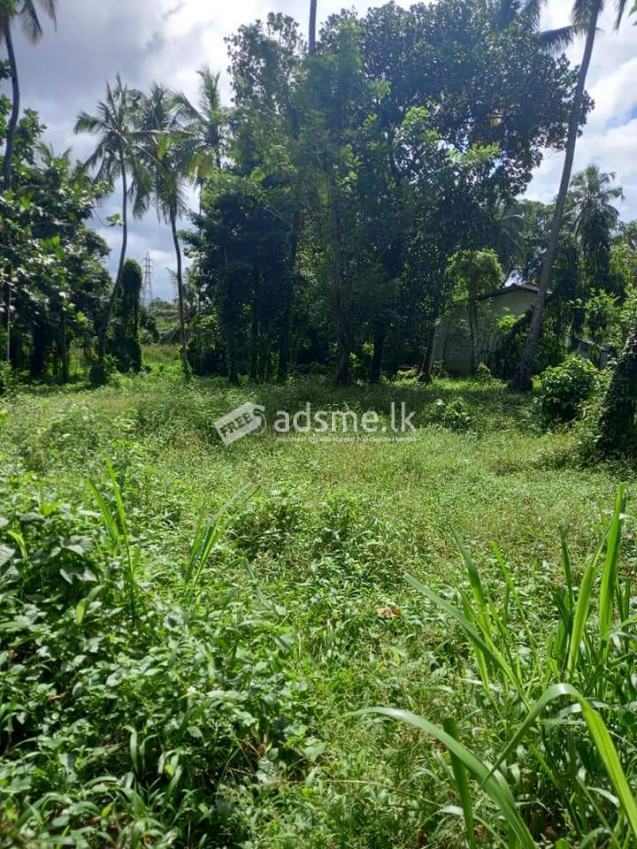 Land for sale in Kandana, Dolahena