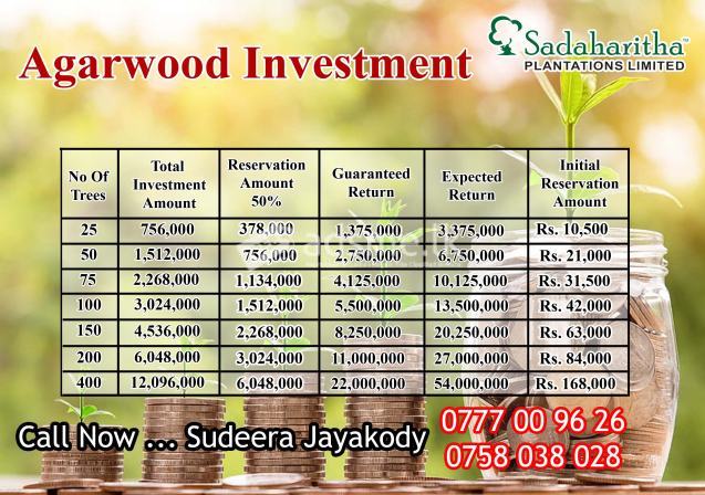 Agarwood Investment වල්ලපට්ටා ආයෝජනය