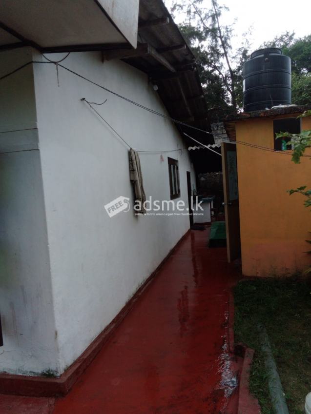 HOUSE FOR SALE FROM AMBALANGODA