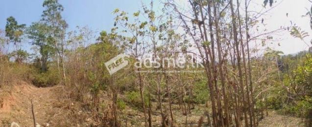 Land for Sale in Narammala
