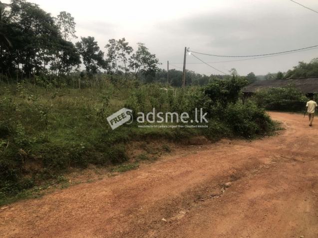 Land for Sale in Panagoda
