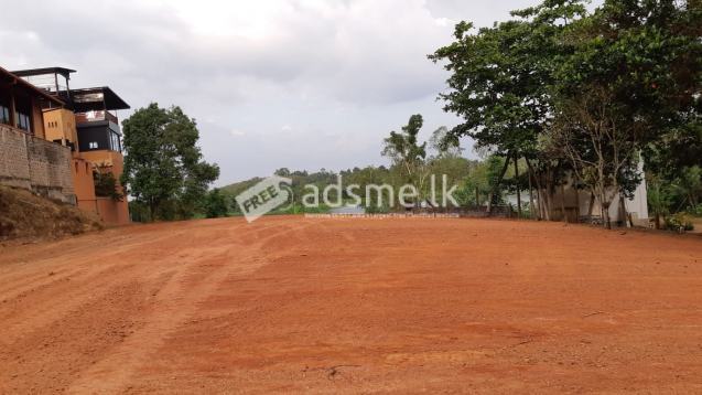 හිරණ පානදුර බොල්ගොඩ වැවට මායිම්ව පර්චස් 86