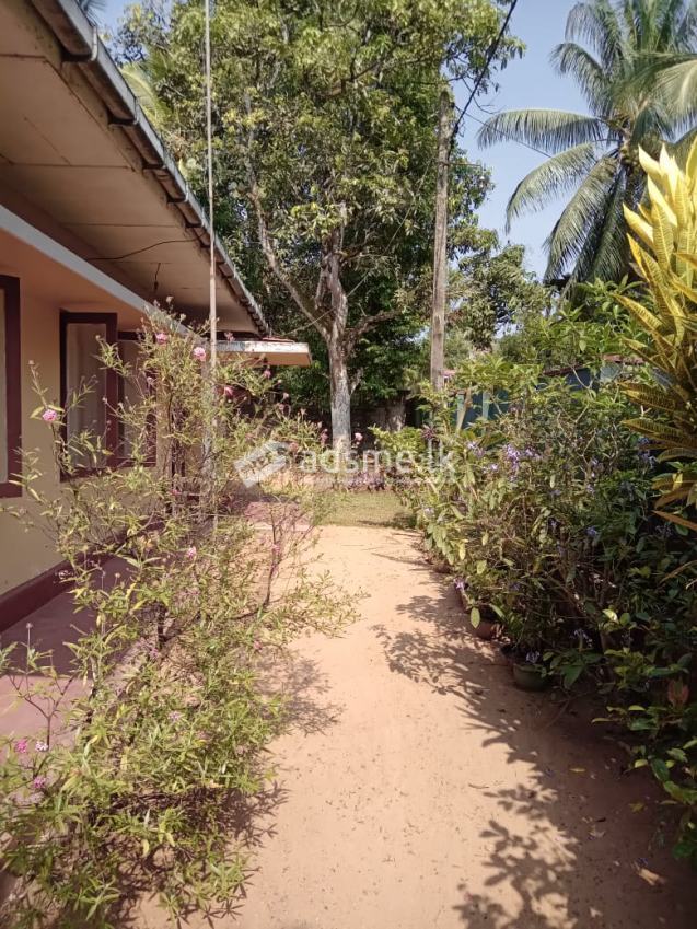 House for Sale in Horana