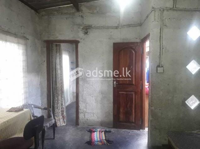 Shearing room for rent