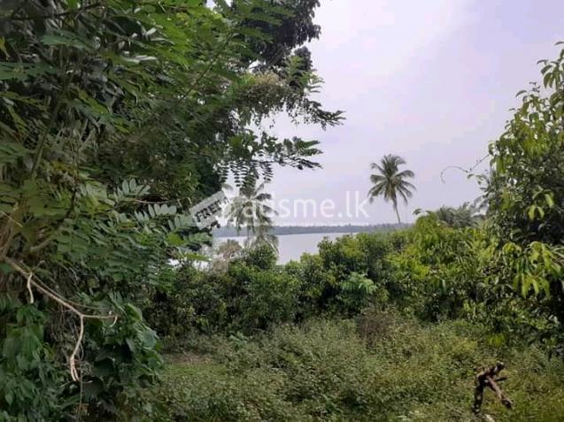 Land for sale in front of river