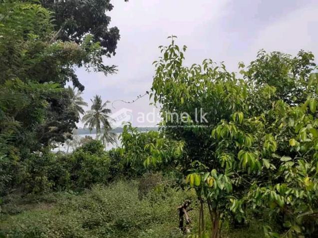 Land for sale in front of river