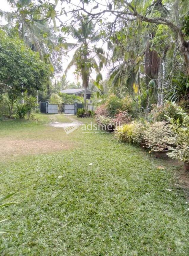 Land & House for Sale in Gampaha