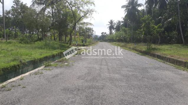Land for Sale in Halthota - Bandaragama
