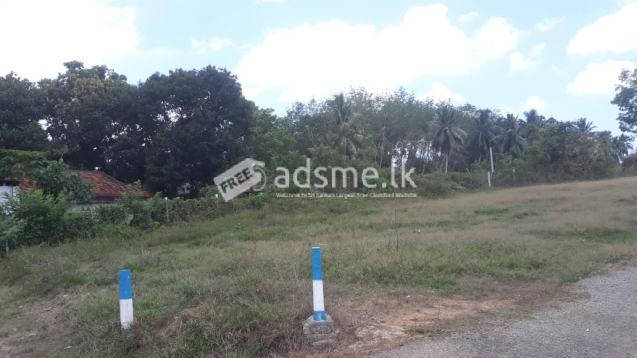 Land for Sale in Halthota - Bandaragama