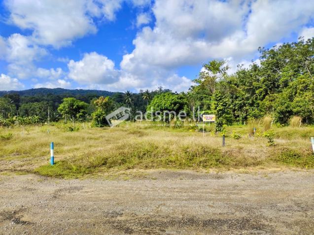 Prime Land in Horana wawulagala