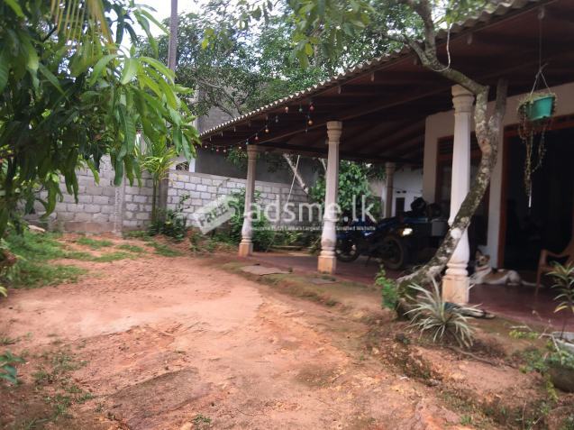 LAND FOR SALE WITH A HOUSE