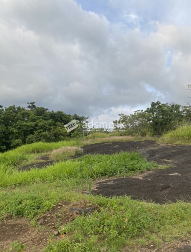 Land for sale in Kandy - Balagolla