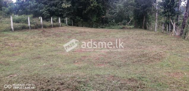 Land For Sale In Horana -Kumbuka