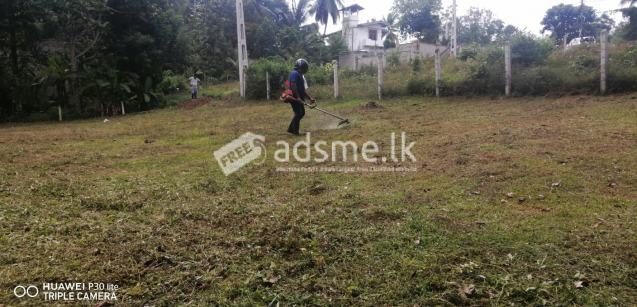 Land For Sale In Horana -Kumbuka