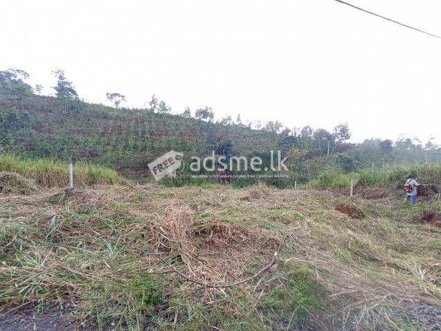 Land for sale in Doluwa