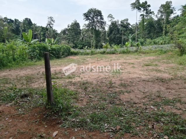 Land for sale in Webada (Kadawatha)