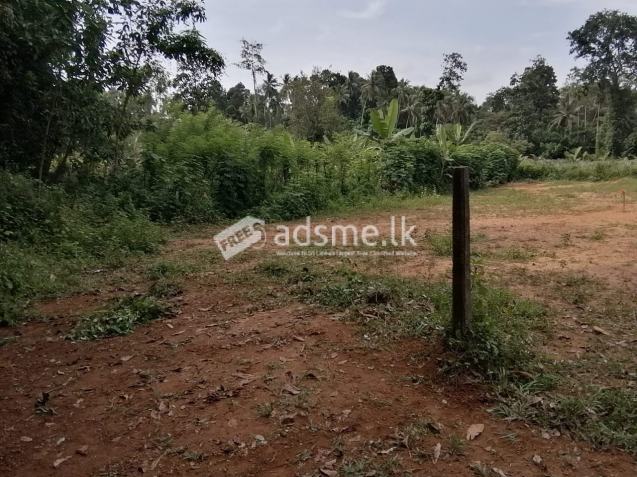 Land for sale in Webada (Kadawatha)