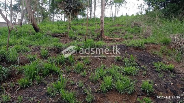 15 perches land for sale in sinharagama.