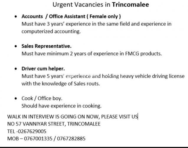 Job in Trincomalee
