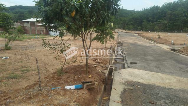 Beautiful residential area in Horana