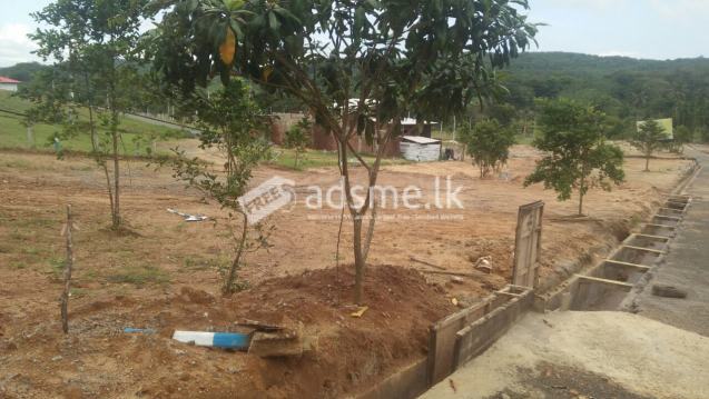 Beautiful residential area in Horana