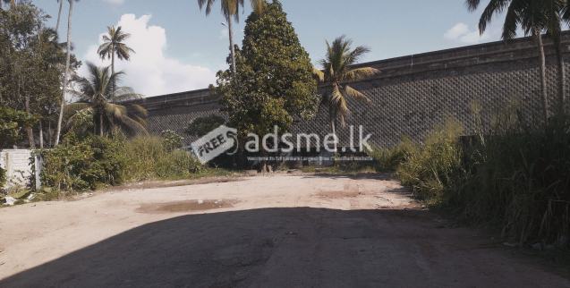 Land for rent in wattala