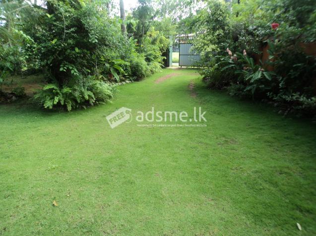 House for Rent - Unawatuna, Galle