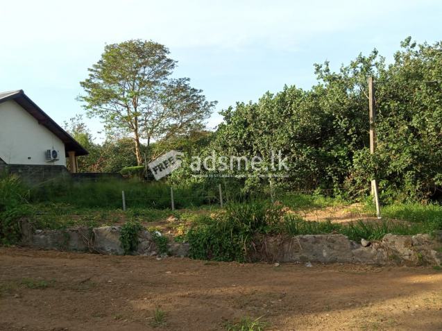 Land at SLIIT for sale