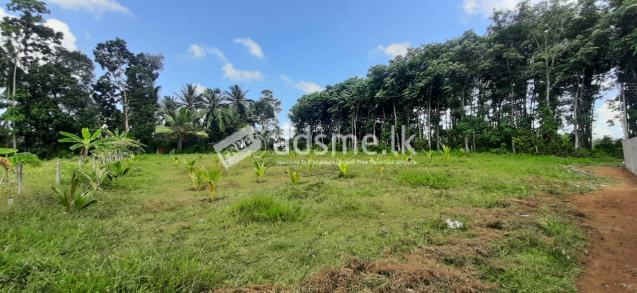 42 Purches Land for Sale - Land in Millaniya off  Bandaragama Kaluthara Road