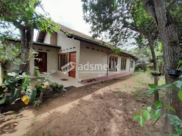Land For Sale In Bellanwila