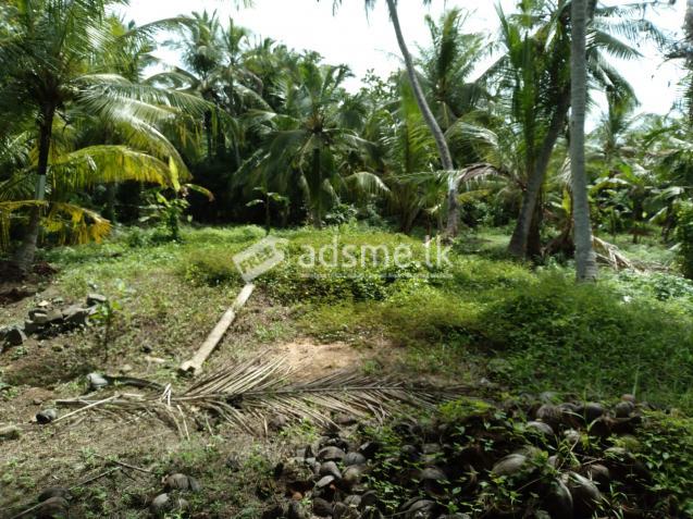 Land for sale in Paranambalama Uswetakeiyawa