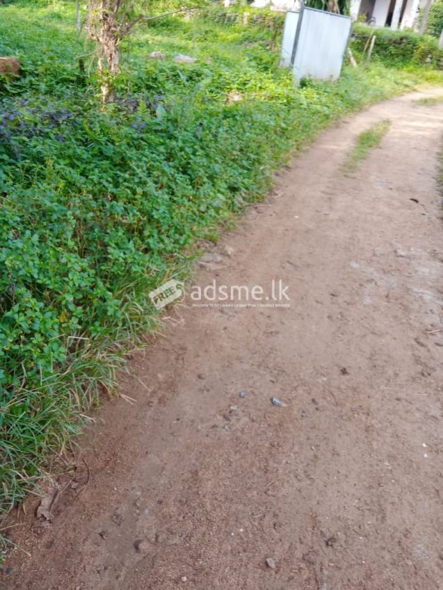Lands for sale near welipenna highway exit