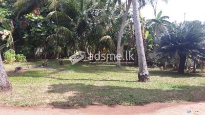 Commercial Land for Sale at Anuradhapura