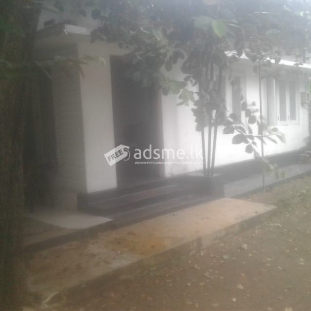 House for rent in nawinna