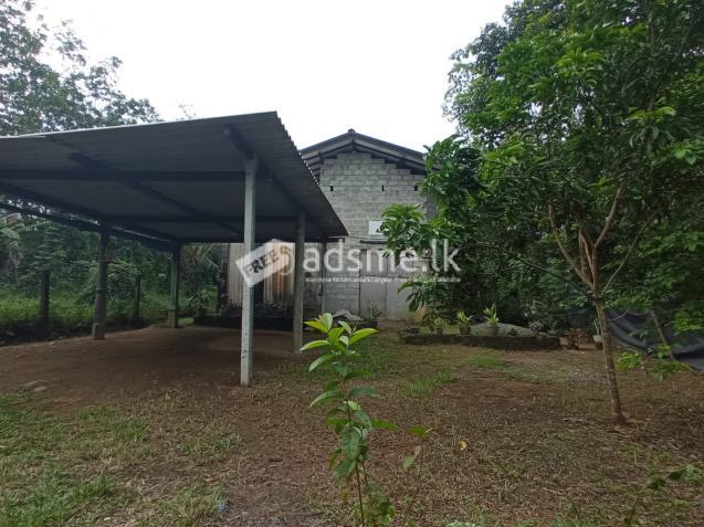 House for Sale in Horana - Millewa