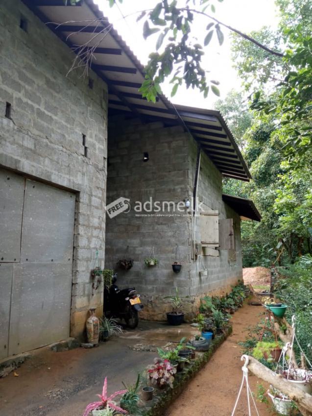 House for Sale in Horana - Millewa