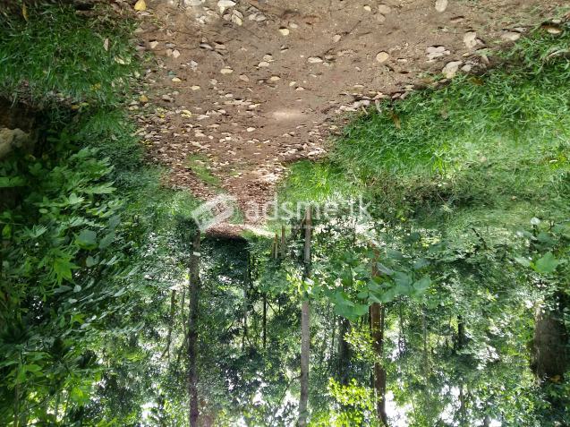 Land for Sale in Digana, Kandy (220 perches)