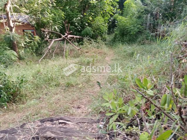 Land for sale in Digana, Kandy