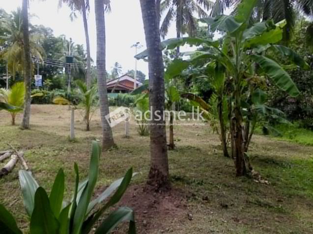 Land for sale in gampaha