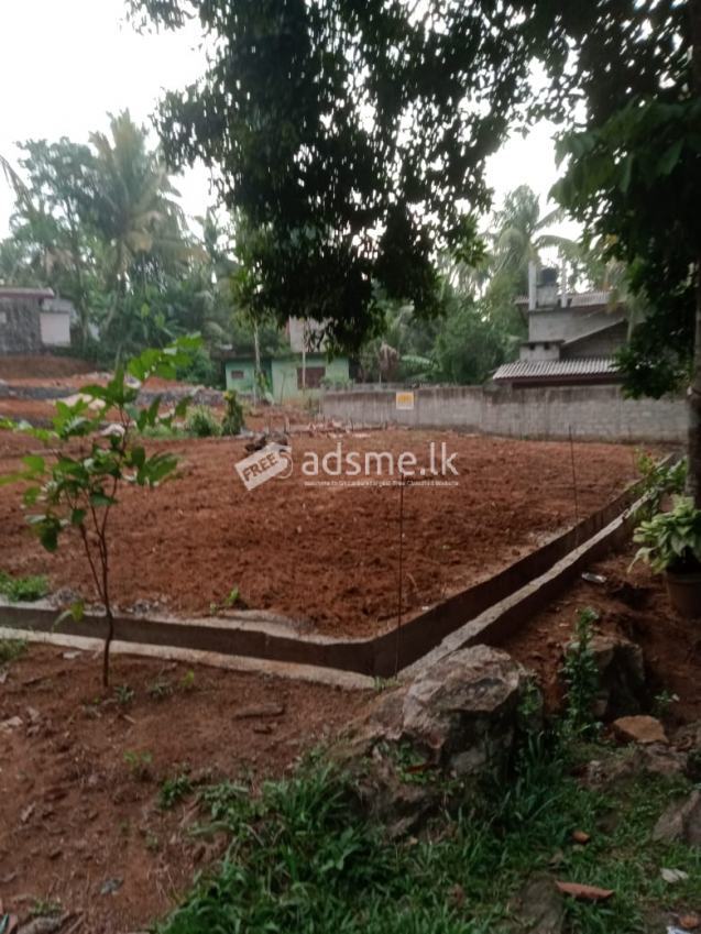 Land for Sale in Gonapola