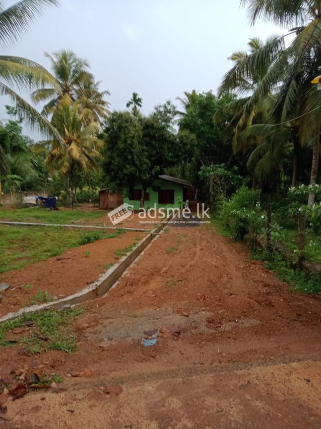 Land for Sale in Gonapola