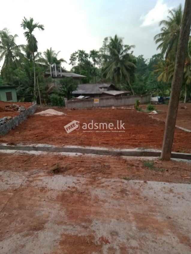 Land for Sale in Gonapola