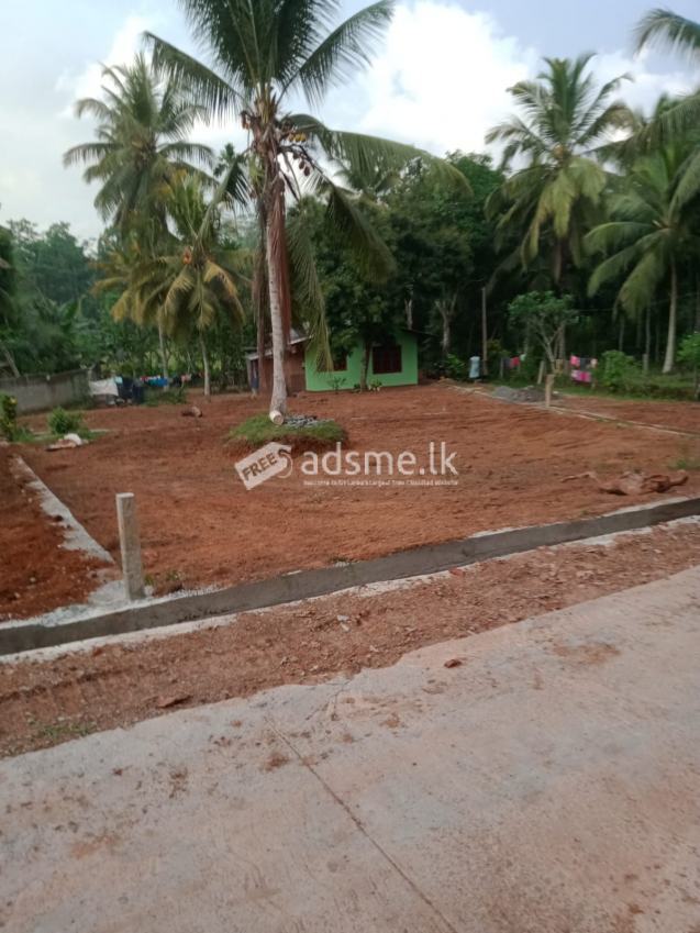 Land for Sale in Gonapola