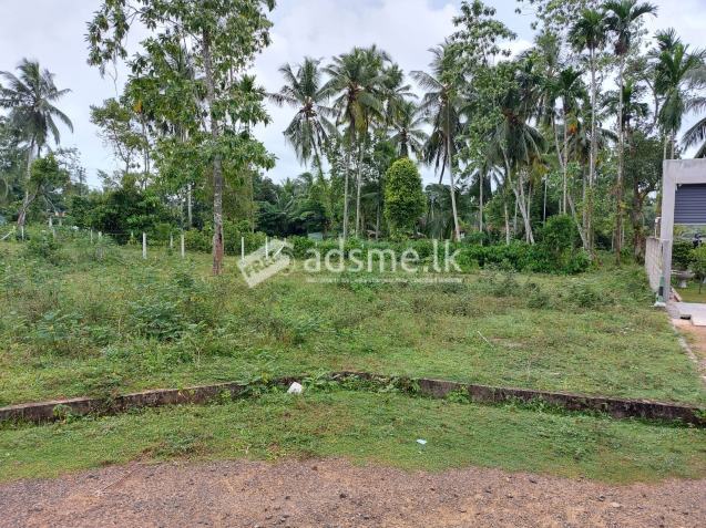 Land for Sale in Bandaragama - බණ්ඩාරගම ඉඩමක් විකිණීමට