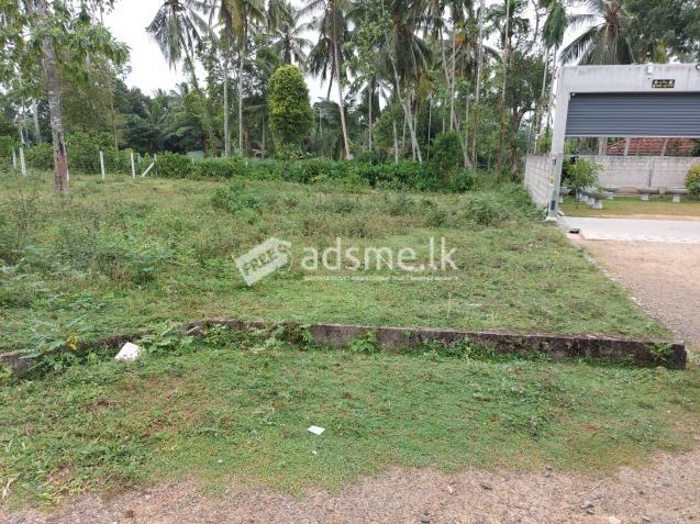 Land for Sale in Bandaragama - බණ්ඩාරගම ඉඩමක් විකිණීමට