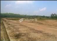 Land for sale in Halbarawa - 350,000 per perch