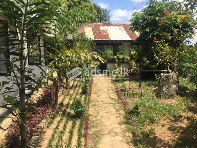 Colonial type bungalow for sale in Kandy city limits