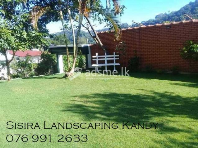 Landscape designer in Kandy